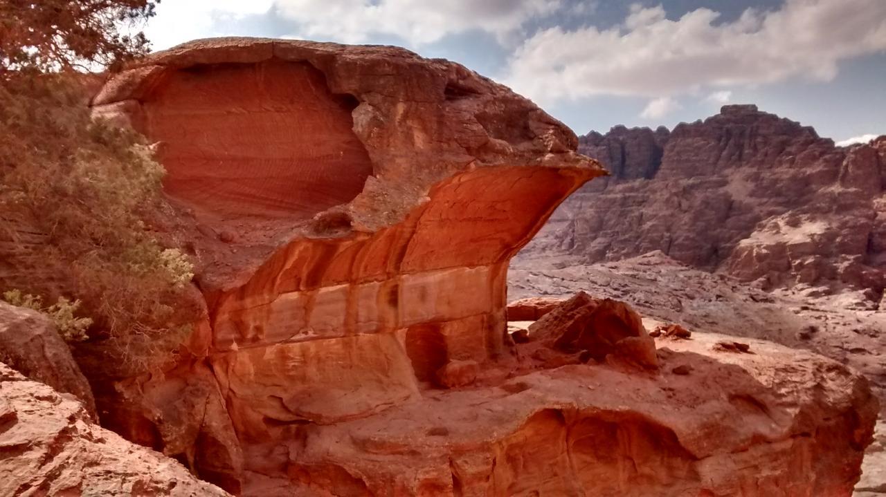 Petra Bedouin Bed And Breakfast Wadi Musa Eksteriør billede
